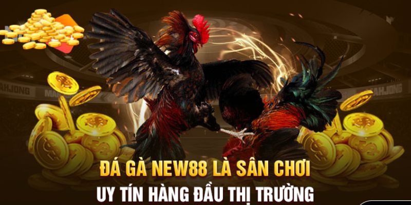 Những lợi thế giúp đá gà New88 giup website luôn ăn khách