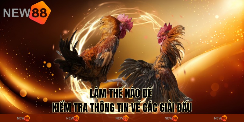 Làm thế nào để kiểm tra thông tin về các giải đấu