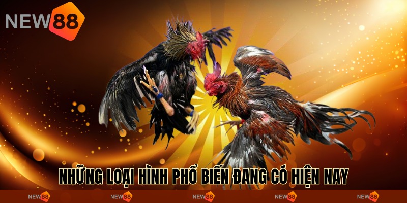 Những loại hình phổ biến đang có hiện nay