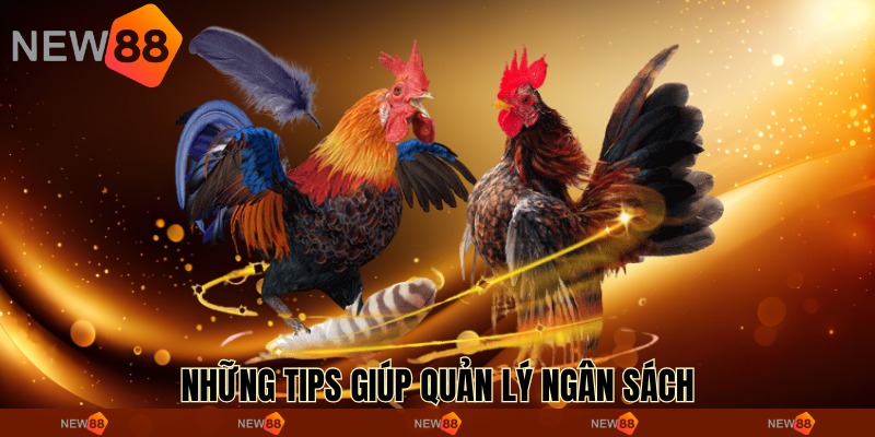 Những tips giúp quản lý ngân sách