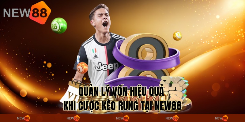 Quản lý vốn hiệu quả khi cược kèo rung tại New88