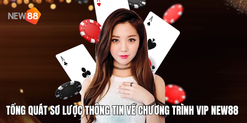 Tổng quát sơ lược thông tin về chương trình VIP NEW88